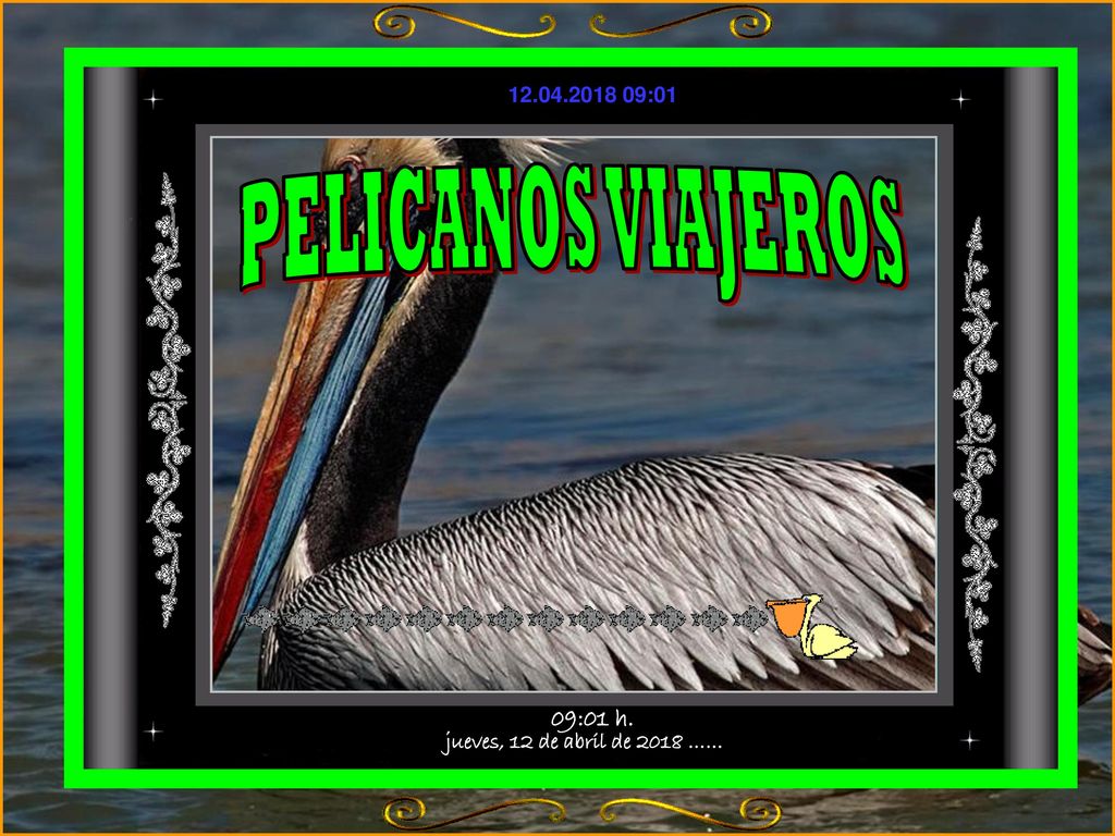 PELICANOS VIAJEROS jueves, 12 de abril de 2018 …… 09:01 h.
