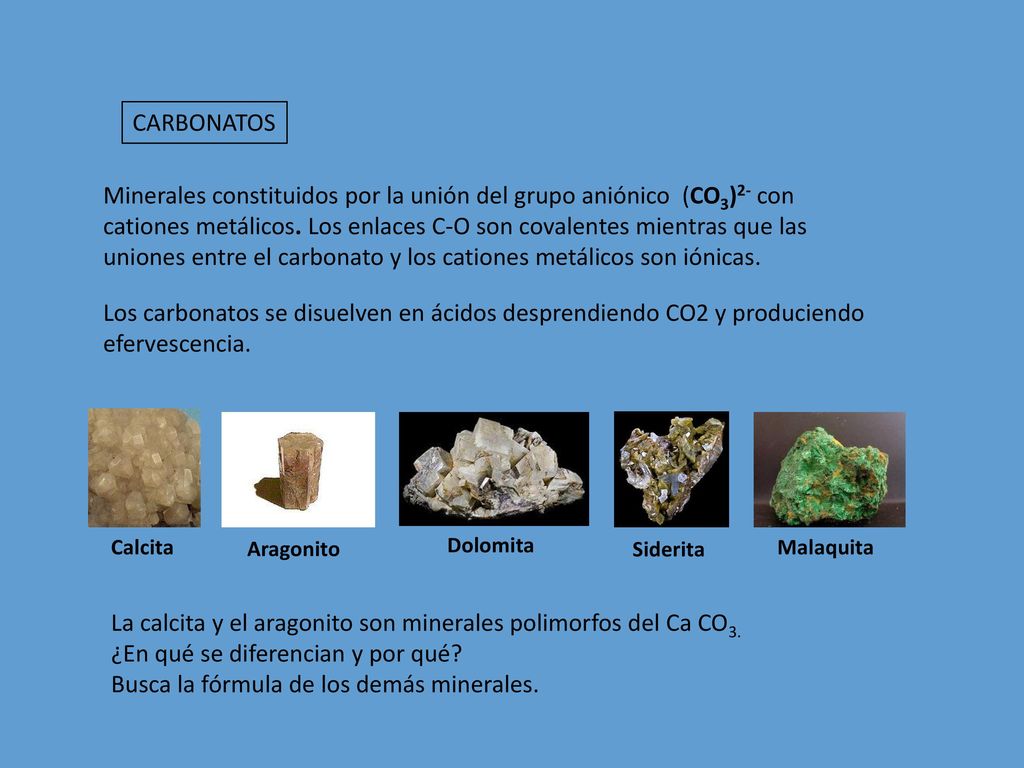 La calcita y el aragonito son minerales polimorfos del Ca CO3.