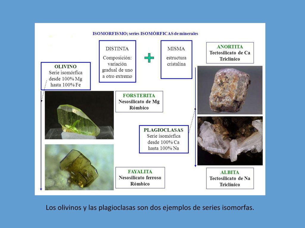 Los olivinos y las plagioclasas son dos ejemplos de series isomorfas.
