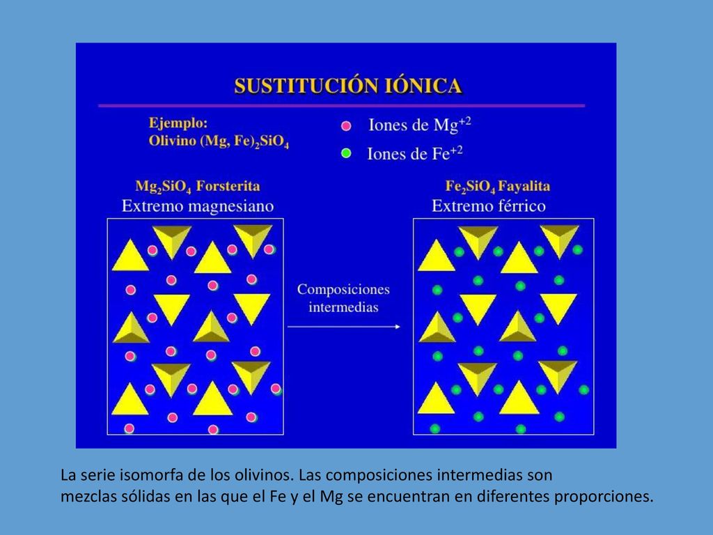 La serie isomorfa de los olivinos. Las composiciones intermedias son