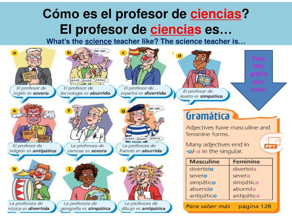 Cómo es el profesor de ciencias El profesor de ciencias es…