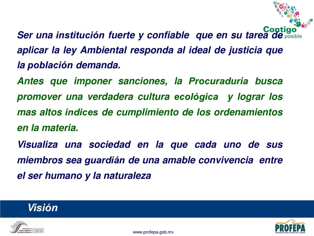 Ser una institución fuerte y confiable que en su tarea de aplicar la ley Ambiental responda al ideal de justicia que la población demanda.