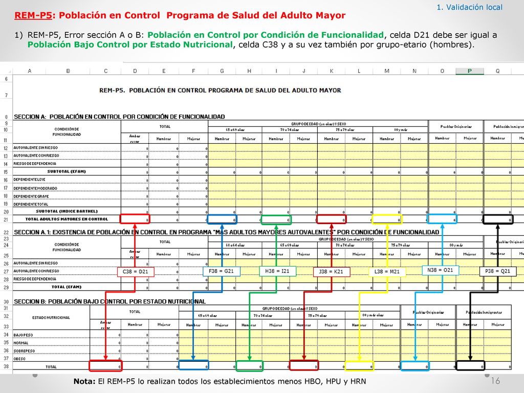 REM-P5: Población en Control Programa de Salud del Adulto Mayor