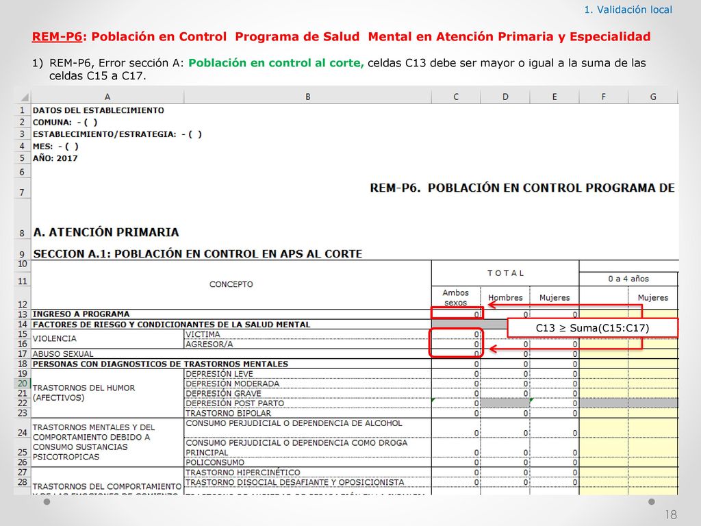 1. Validación local REM-P6: Población en Control Programa de Salud Mental en Atención Primaria y Especialidad.