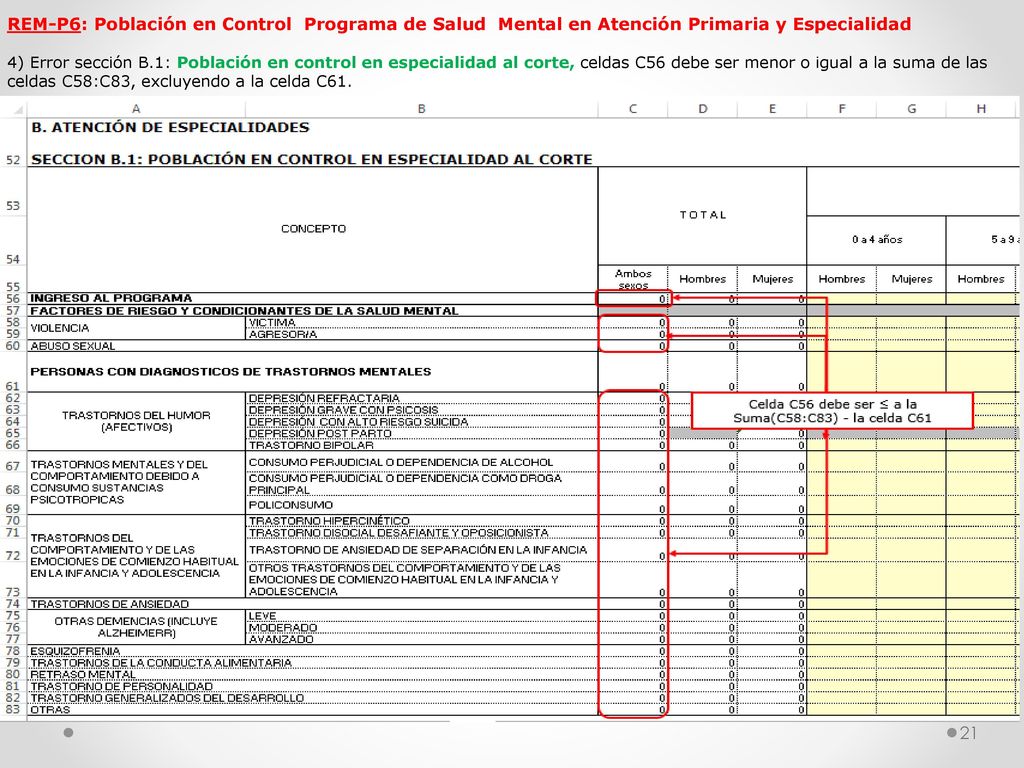 REM-P6: Población en Control Programa de Salud Mental en Atención Primaria y Especialidad