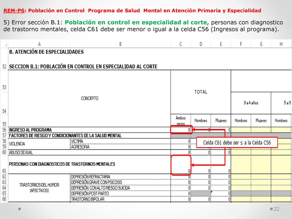 REM-P6: Población en Control Programa de Salud Mental en Atención Primaria y Especialidad