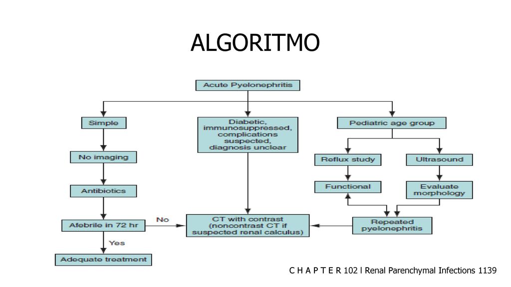 ALGORITMO C H A P T E R 102 l Renal Parenchymal Infections 1139