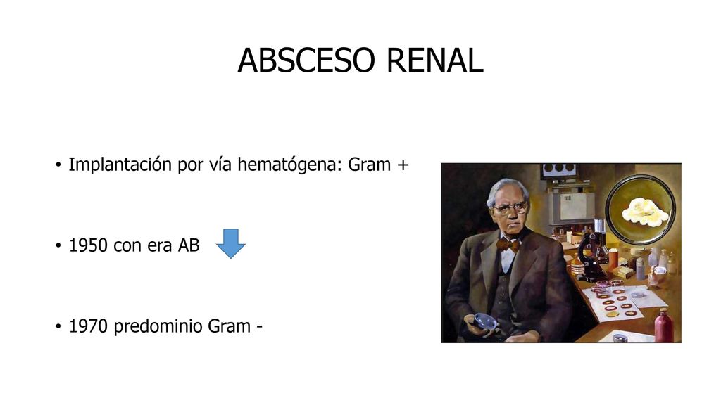 ABSCESO RENAL Implantación por vía hematógena: Gram con era AB