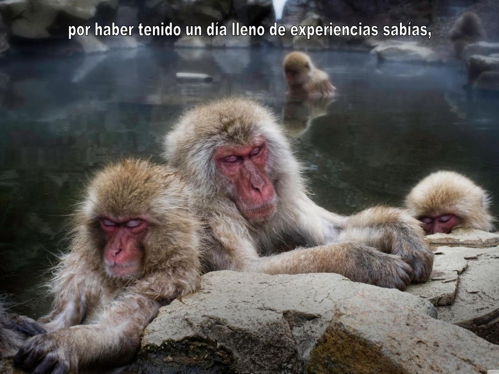 por haber tenido un día lleno de experiencias sabías,