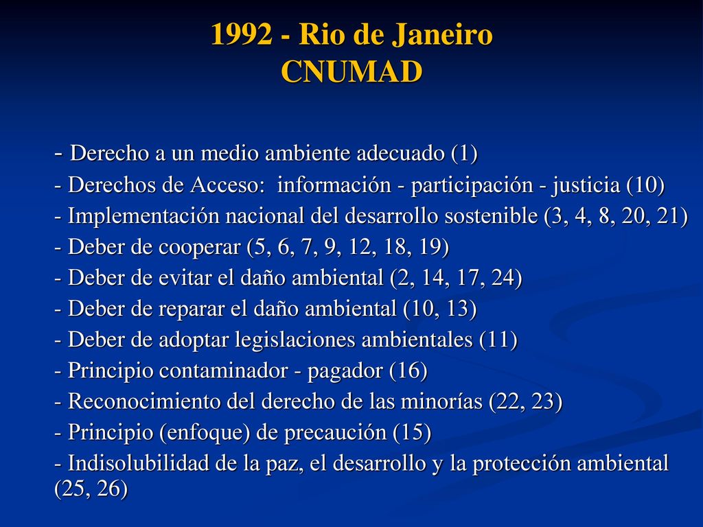 Rio de Janeiro CNUMAD - Derecho a un medio ambiente adecuado (1) - Derechos de Acceso: información - participación - justicia (10)