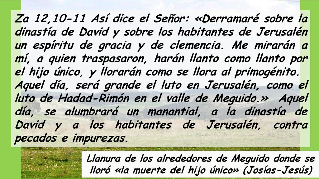 Za 12,10-11 Así dice el Señor: «Derramaré sobre la dinastía de David y sobre los habitantes de Jerusalén un espíritu de gracia y de clemencia. Me mirarán a mí, a quien traspasaron, harán llanto como llanto por el hijo único, y llorarán como se llora al primogénito.