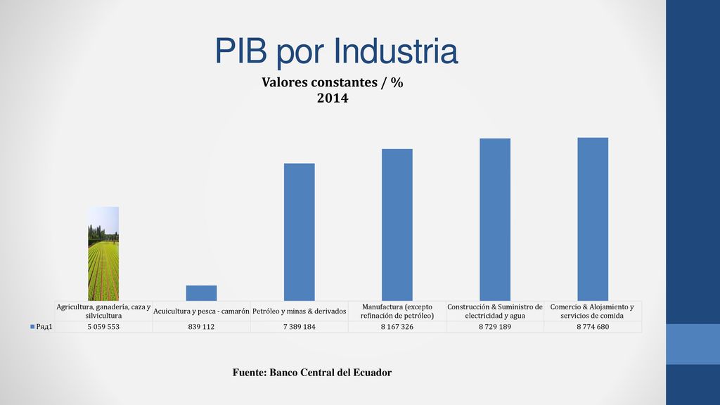 PIB por Industria Fuente: Banco Central del Ecuador