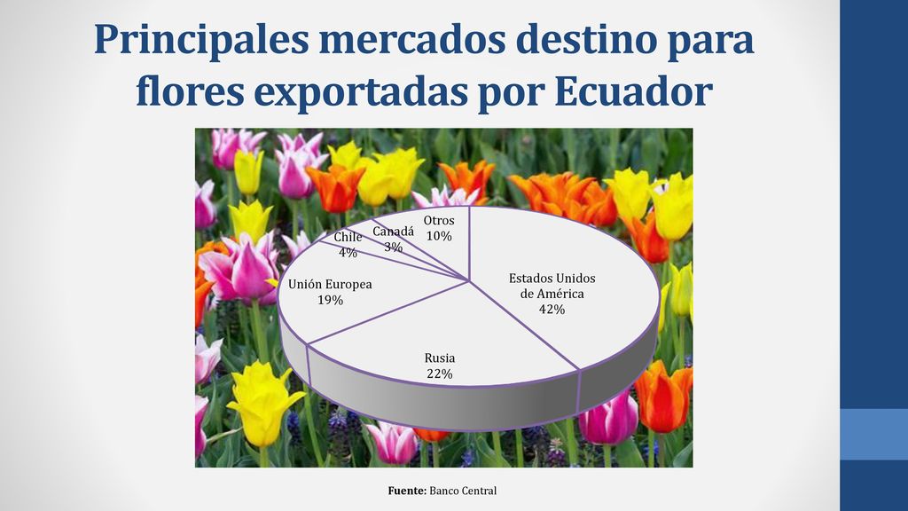 Principales mercados destino para flores exportadas por Ecuador