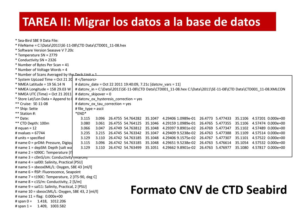TAREA II: Migrar los datos a la base de datos