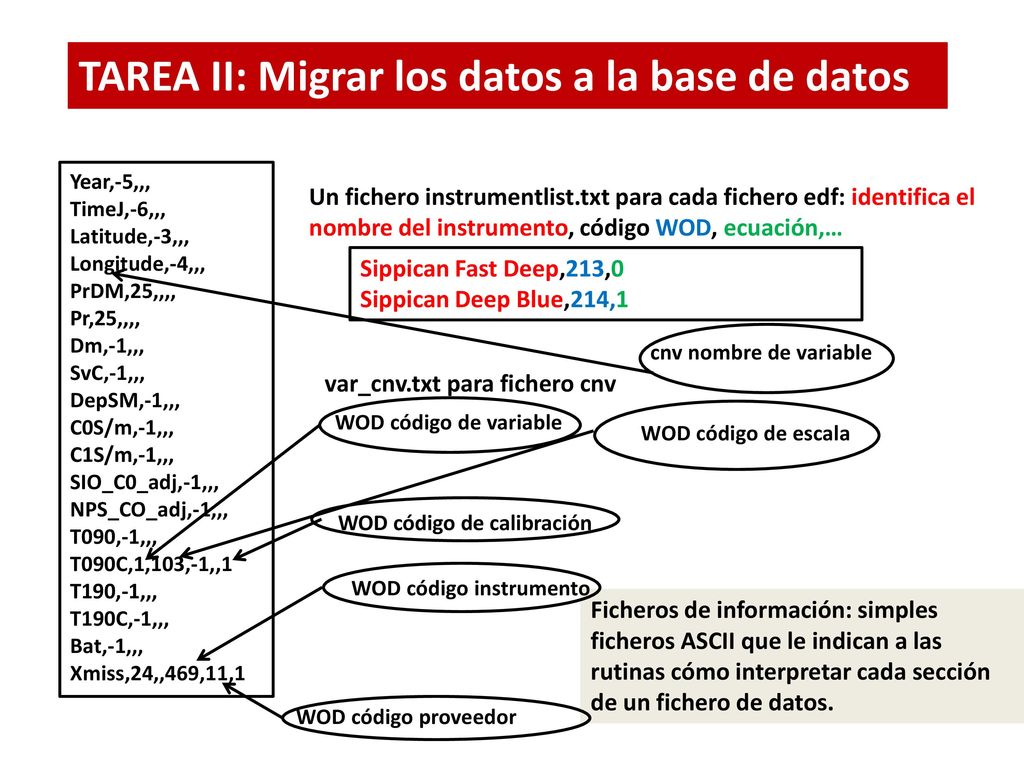 TAREA II: Migrar los datos a la base de datos