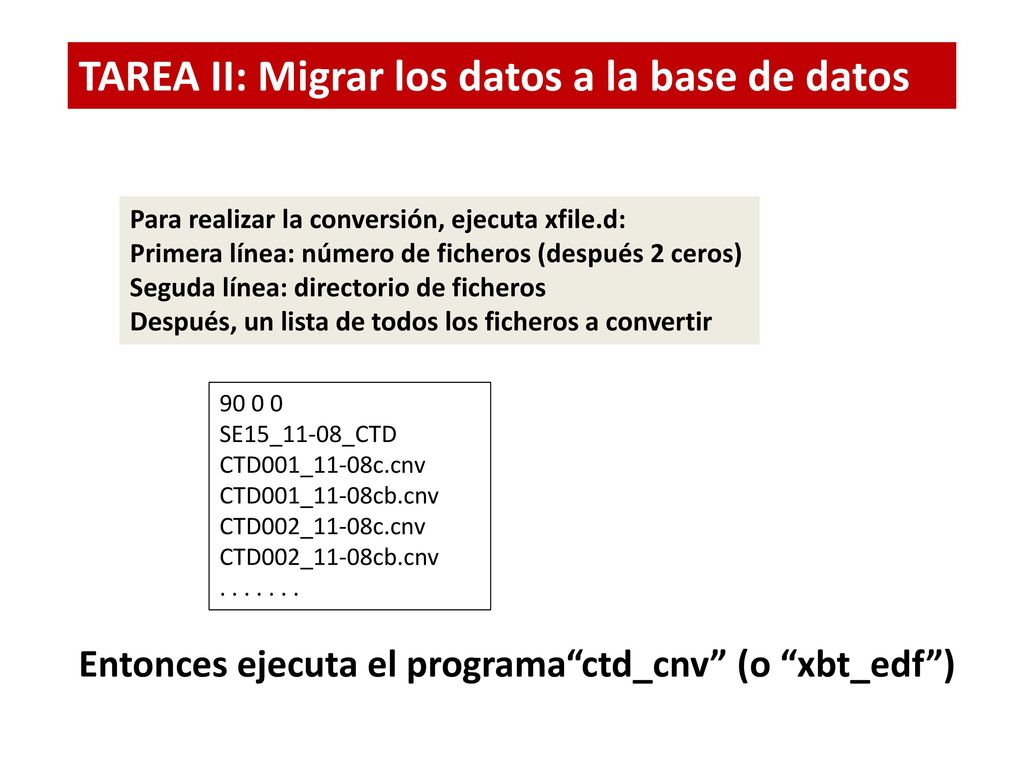TAREA II: Migrar los datos a la base de datos