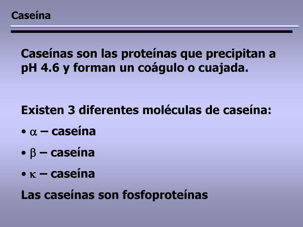Existen 3 diferentes moléculas de caseína: a – caseína b – caseína