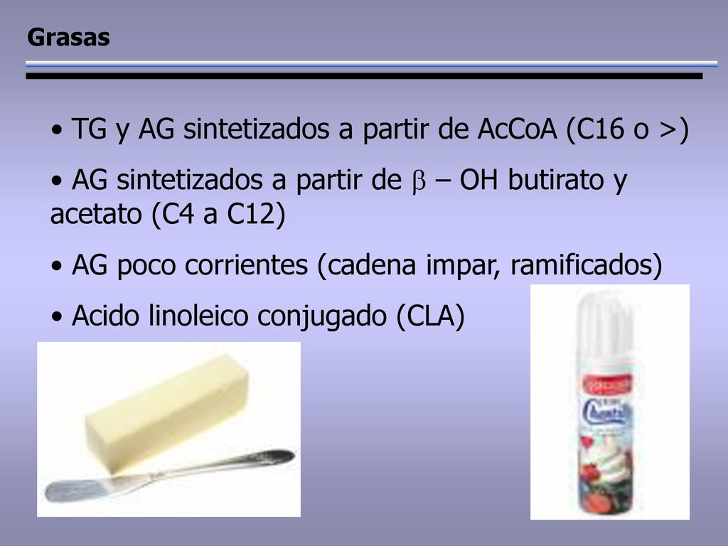 TG y AG sintetizados a partir de AcCoA (C16 o >)