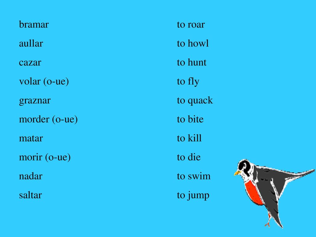 bramar to roar aullar to howl. cazar to hunt. volar (o-ue) to fly. graznar to quack.