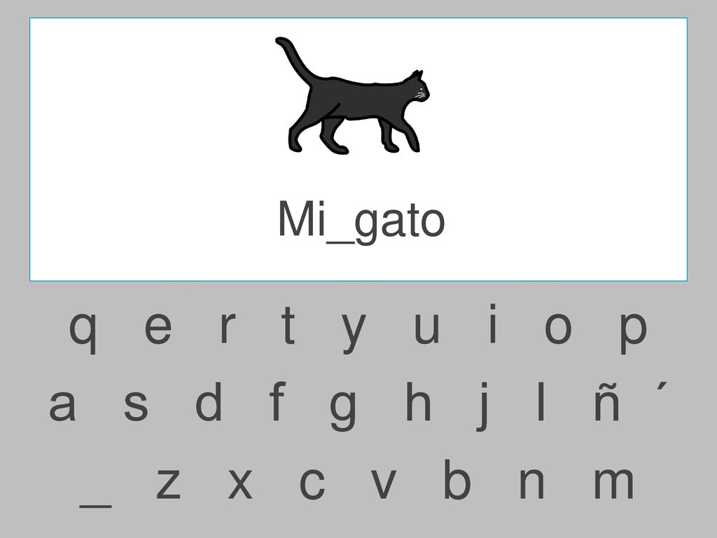 Mi_gato q e r t y u i o p.
