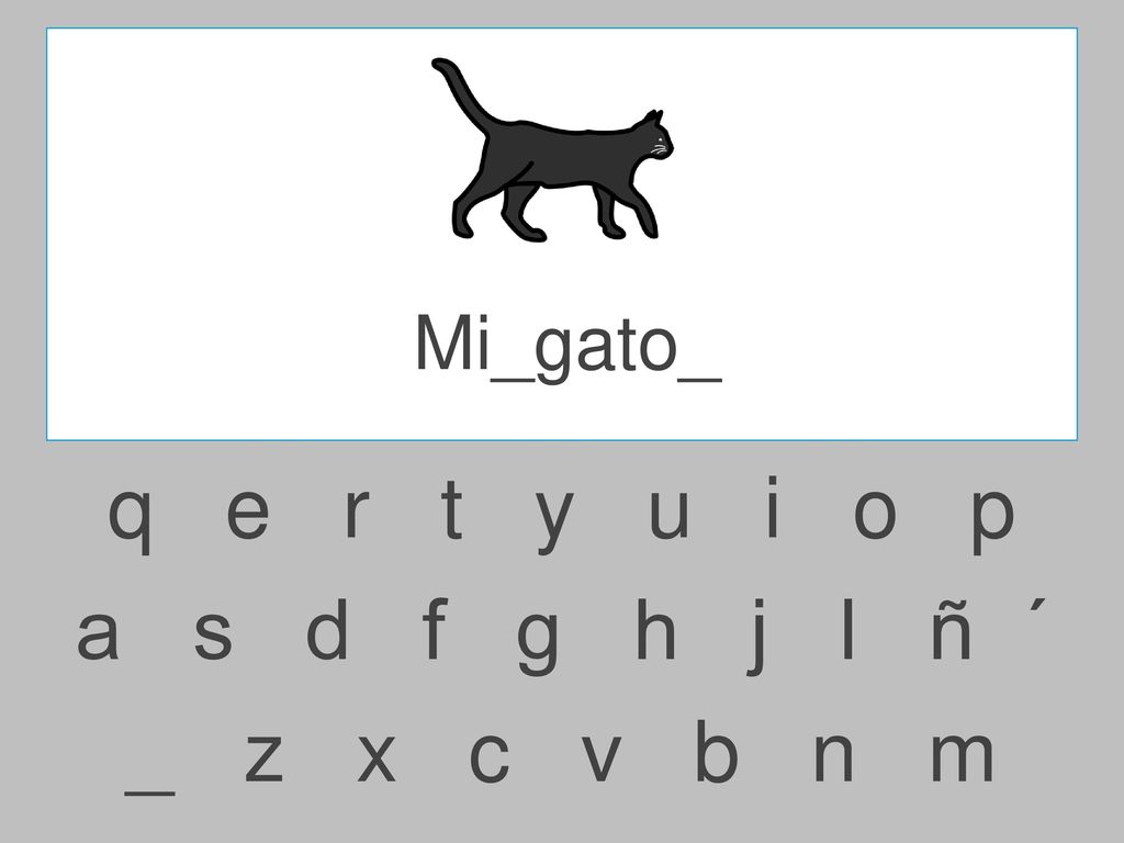 Mi_gato_ q e r t y u i o p.