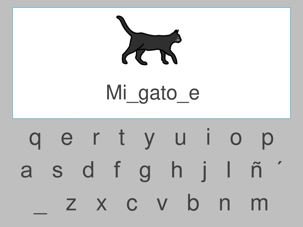 Mi_gato_e q e r t y u i o p.