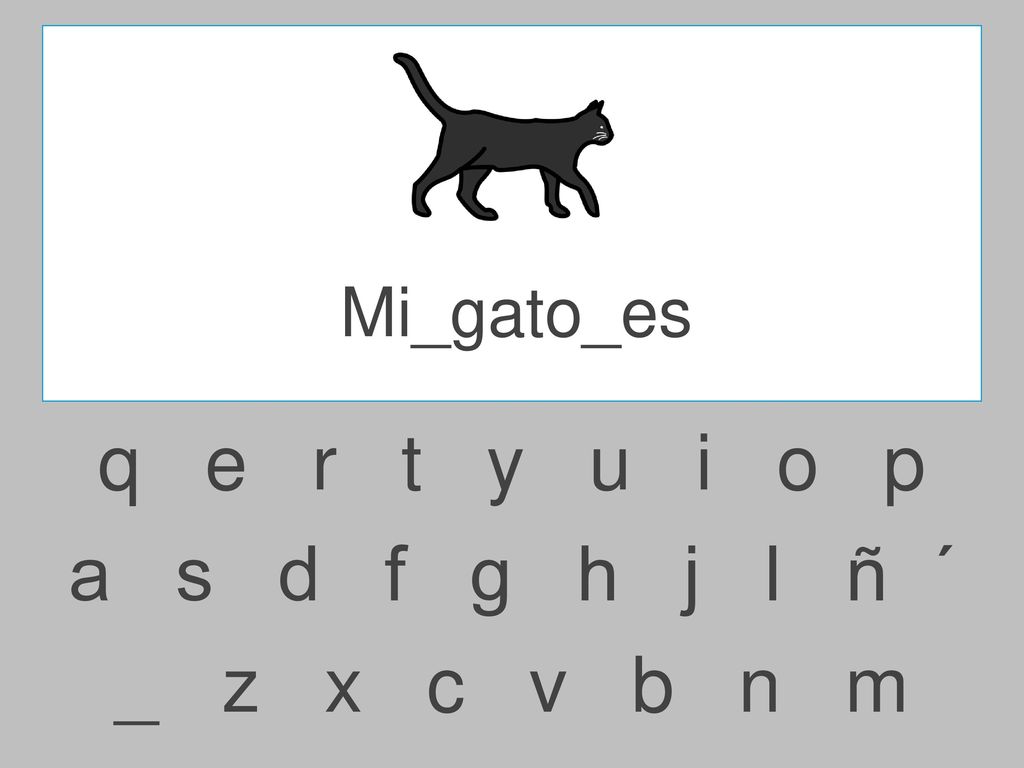 Mi_gato_es q e r t y u i o p.