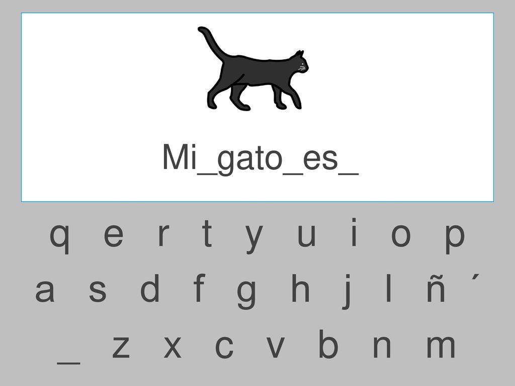 Mi_gato_es_ q e r t y u i o p.