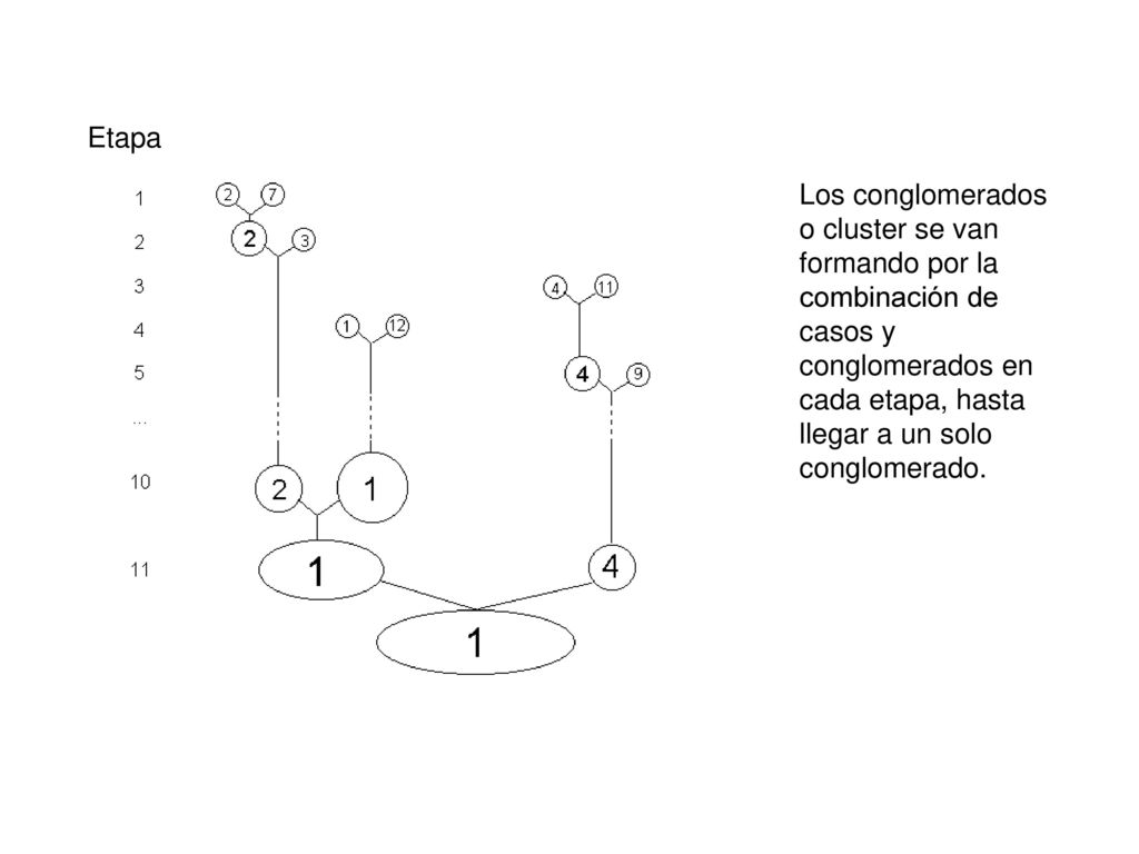 Etapa Los conglomerados o cluster se van formando por la combinación de casos y conglomerados en cada etapa, hasta llegar a un solo conglomerado.