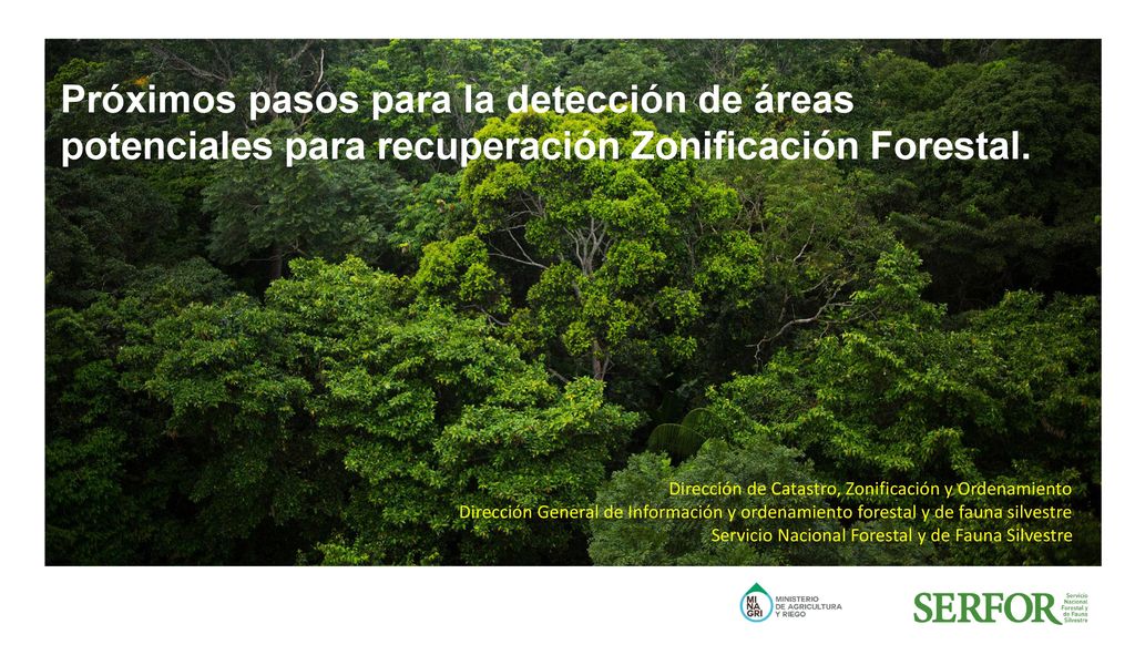 Próximos pasos para la detección de áreas potenciales para recuperación Zonificación Forestal.