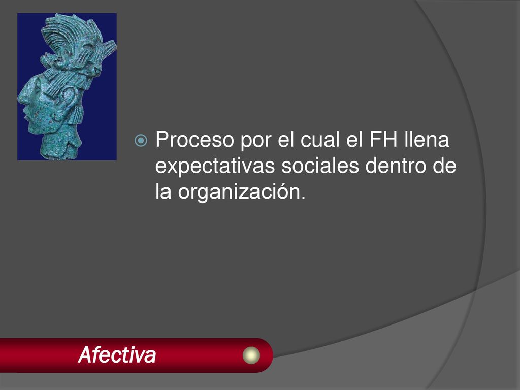 Proceso por el cual el FH llena expectativas sociales dentro de la organización.