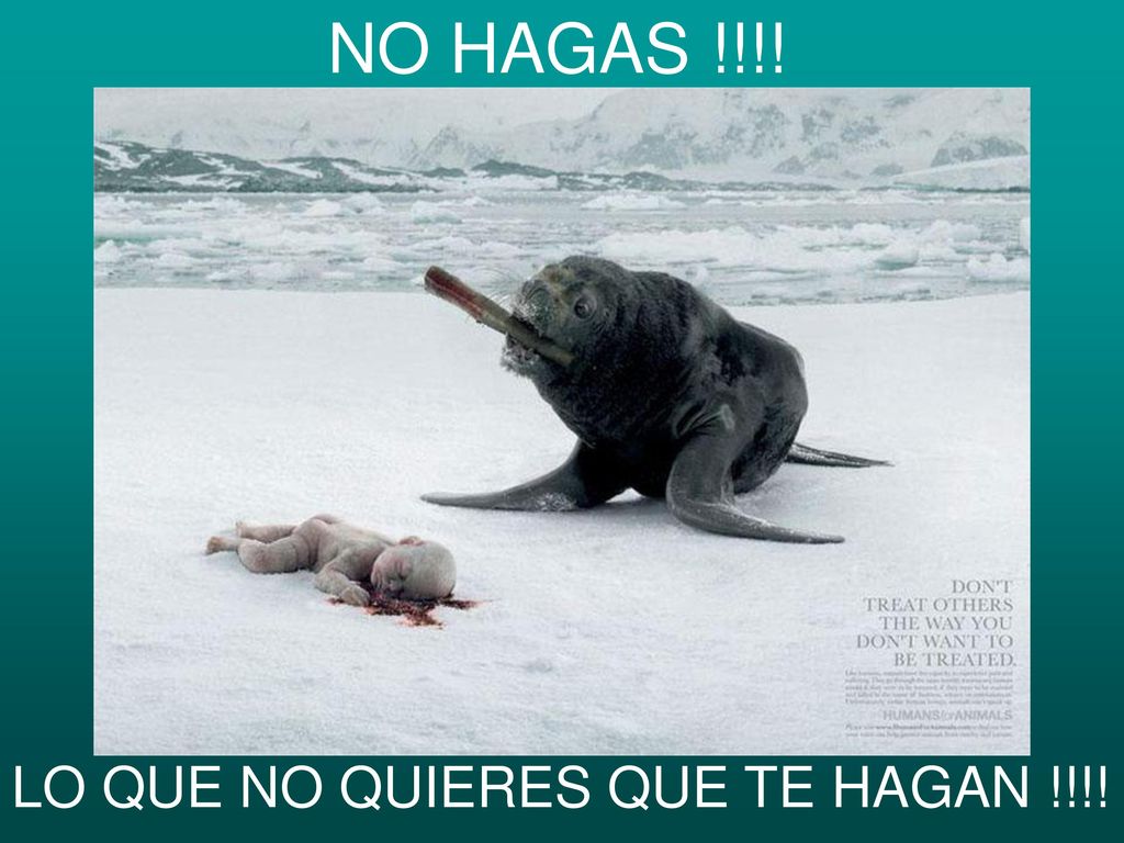NO HAGAS !!!! LO QUE NO QUIERES QUE TE HAGAN !!!!