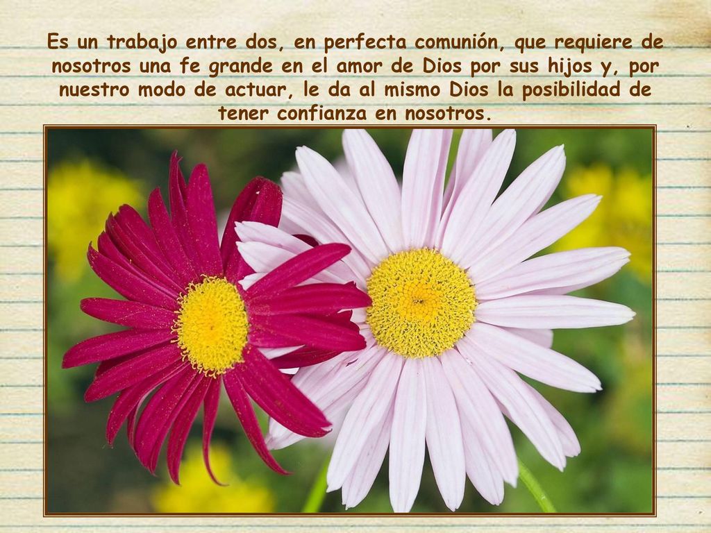 Es un trabajo entre dos, en perfecta comunión, que requiere de nosotros una fe grande en el amor de Dios por sus hijos y, por nuestro modo de actuar, le da al mismo Dios la posibilidad de tener confianza en nosotros.