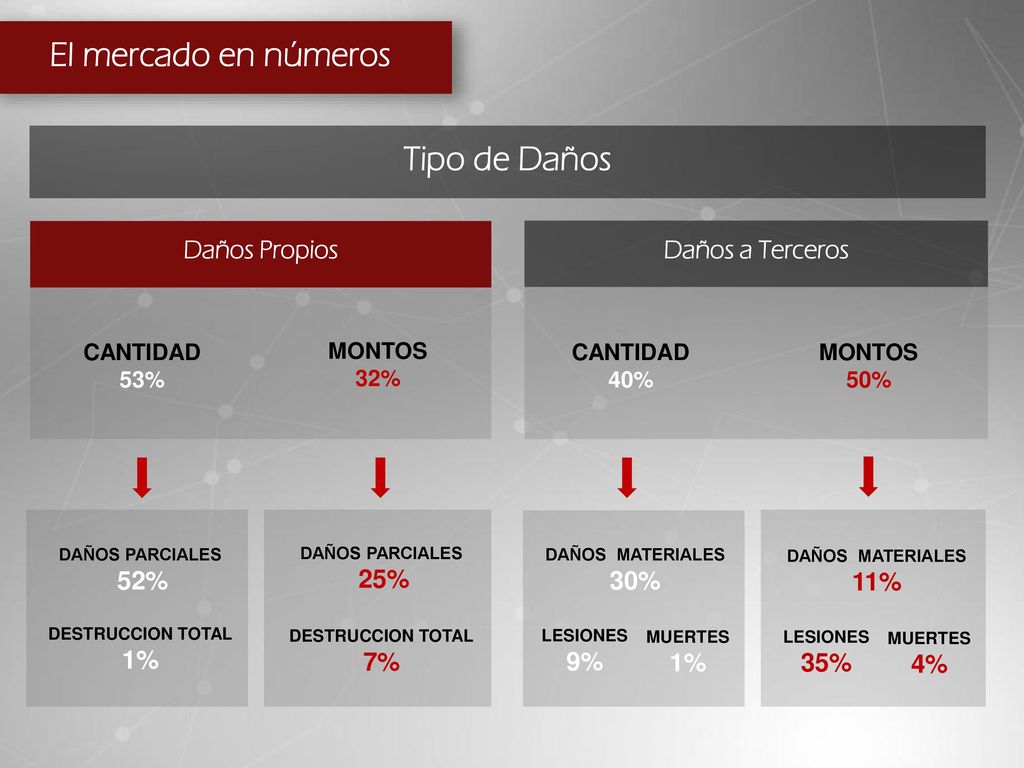 El mercado en números Tipo de Daños Daños Propios Daños a Terceros 1%