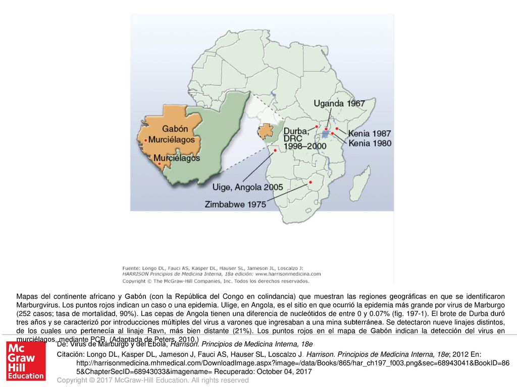 Mapas del continente africano y Gabón (con la República del Congo en colindancia) que muestran las regiones geográficas en que se identificaron Marburgvirus. Los puntos rojos indican un caso o una epidemia. Ulige, en Angola, es el sitio en que ocurrió la epidemia más grande por virus de Marburgo (252 casos; tasa de mortalidad, 90%). Las cepas de Angola tienen una diferencia de nucleótidos de entre 0 y 0.07% (fig ). El brote de Durba duró tres años y se caracterizó por introducciones múltiples del virus a varones que ingresaban a una mina subterránea. Se detectaron nueve linajes distintos, de los cuales uno pertenecía al linaje Ravn, más bien distante (21%). Los puntos rojos en el mapa de Gabón indican la detección del virus en murciélagos, mediante PCR. (Adaptada de Peters, 2010.)