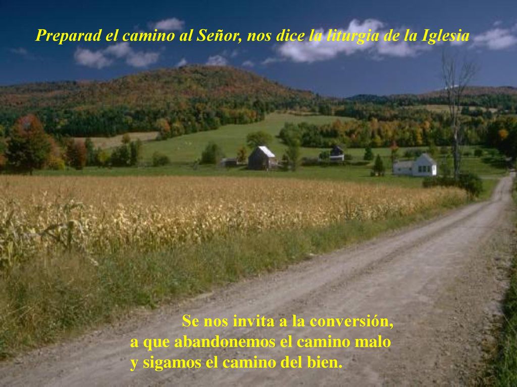 Preparad el camino al Señor, nos dice la liturgia de la Iglesia