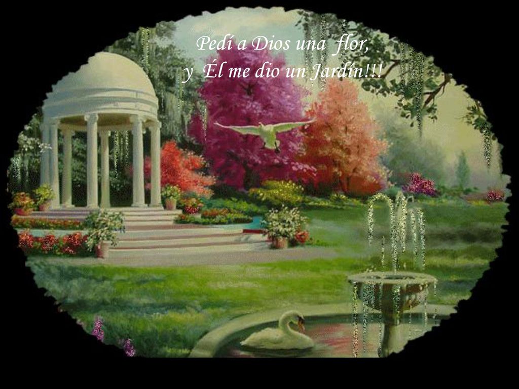 Pedí a Dios una flor, y Él me dio un Jardín!!!