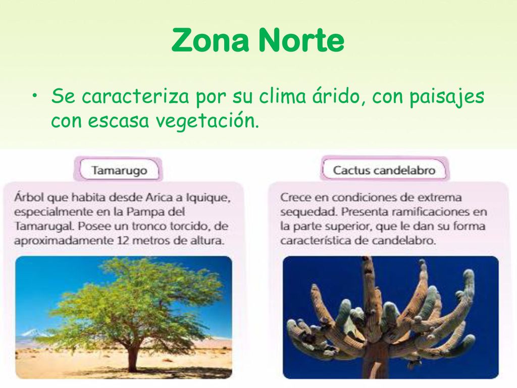 Zona Norte Se caracteriza por su clima árido, con paisajes con escasa vegetación.