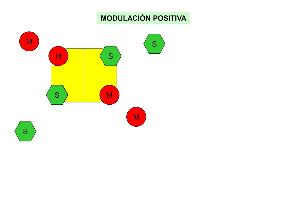 MODULACIÓN POSITIVA M S M S S M M S