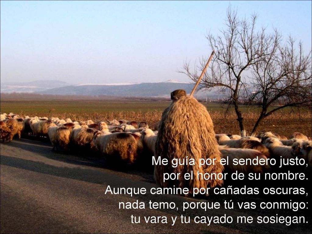 Me guía por el sendero justo, por el honor de su nombre