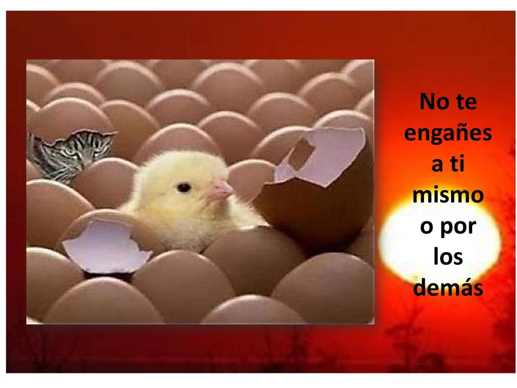 No te engañes a ti mismo o por los demás