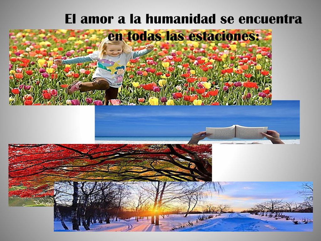 El amor a la humanidad se encuentra en todas las estaciones: