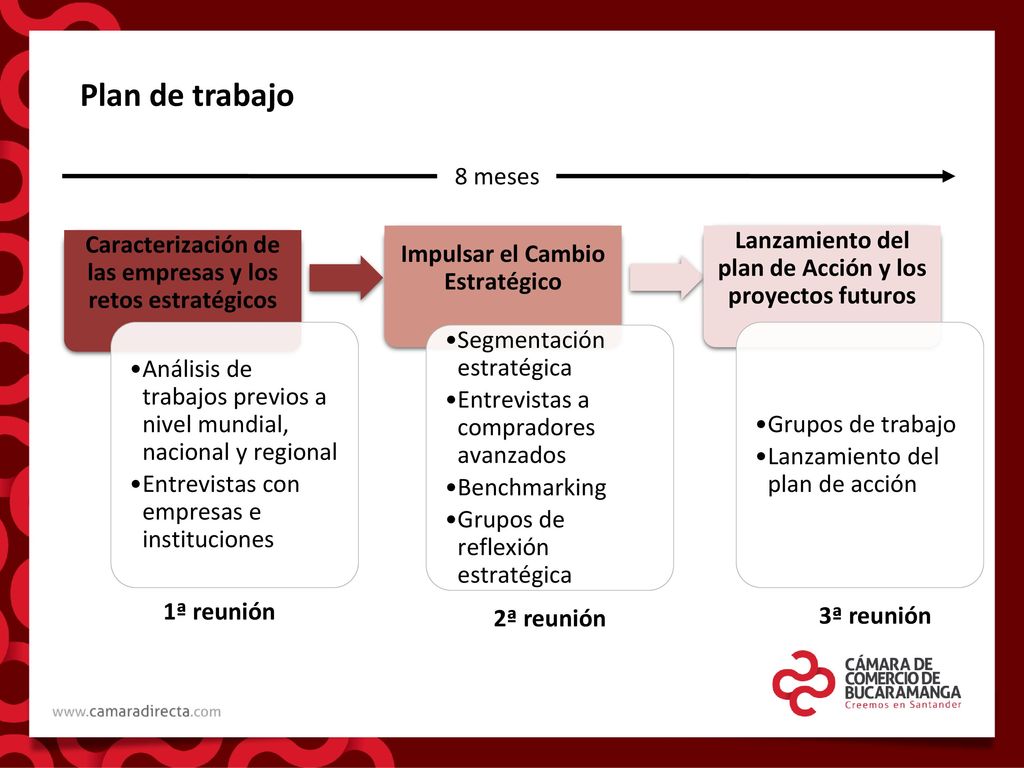 Plan de trabajo 8 meses. Caracterización de las empresas y los retos estratégicos. Impulsar el Cambio Estratégico.