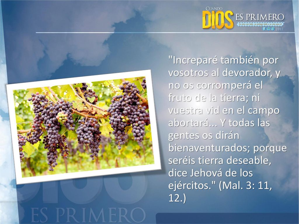 Increparé también por vosotros al devorador, y no os corromperá el fruto de la tierra; ni vuestra vid en el campo abortará...