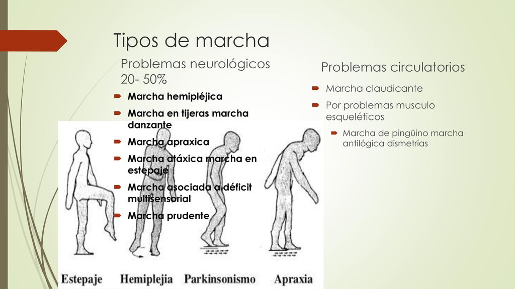 Tipos de marcha Problemas circulatorios Problemas neurológicos %