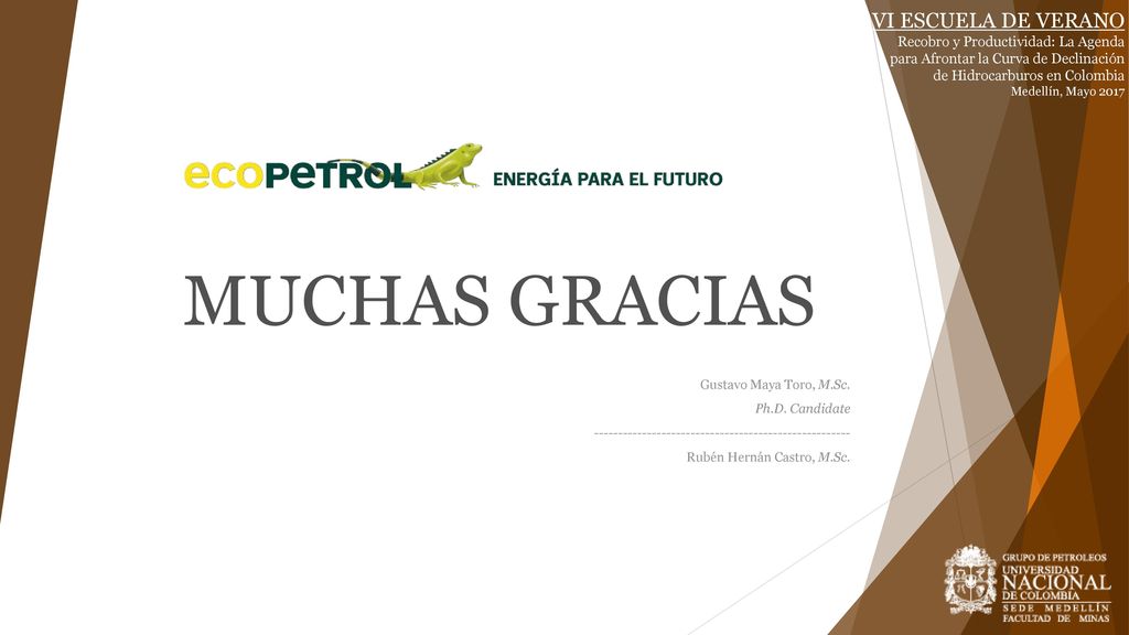 MUCHAS GRACIAS IV ESCUELA DE VERANO VI ESCUELA DE VERANO