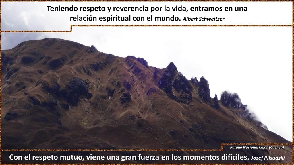 Teniendo respeto y reverencia por la vida, entramos en una relación espiritual con el mundo. Albert Schweitzer