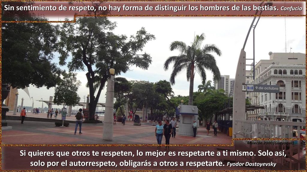 Sin sentimiento de respeto, no hay forma de distinguir los hombres de las bestias. Confucio