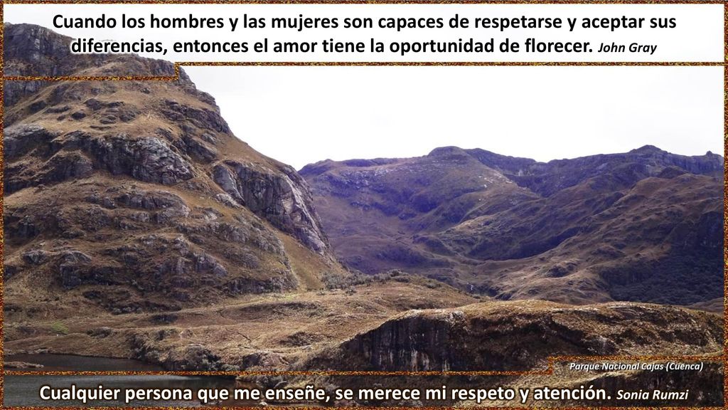 Cuando los hombres y las mujeres son capaces de respetarse y aceptar sus diferencias, entonces el amor tiene la oportunidad de florecer. John Gray