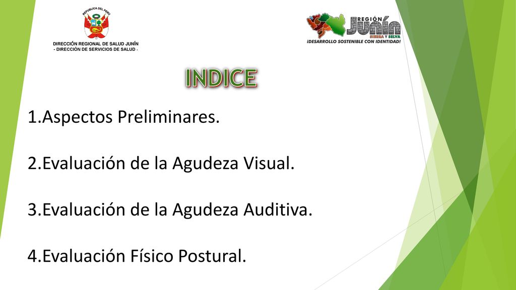 DIRECCIÓN REGIONAL DE SALUD JUNÍN - DIRECCIÓN DE SERVICIOS DE SALUD -